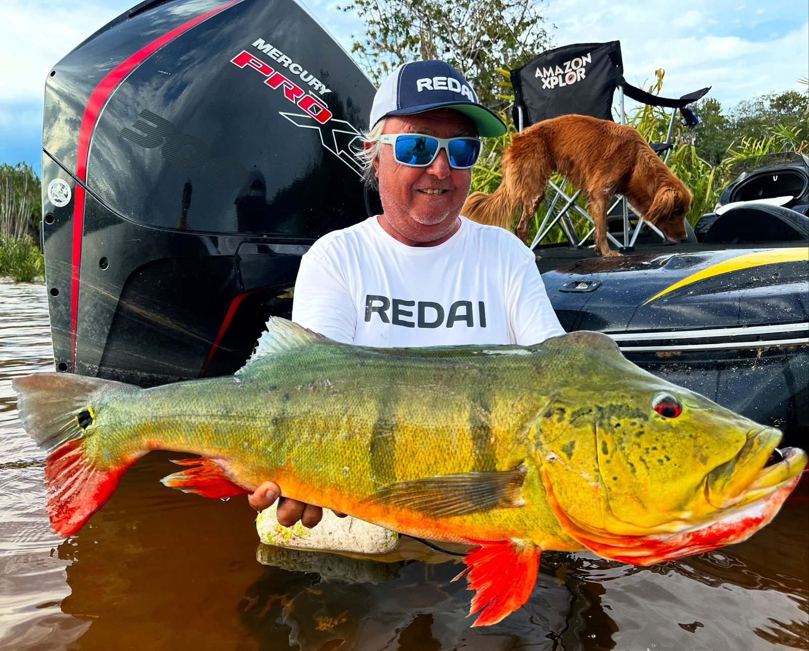 PEACOCK BASS
